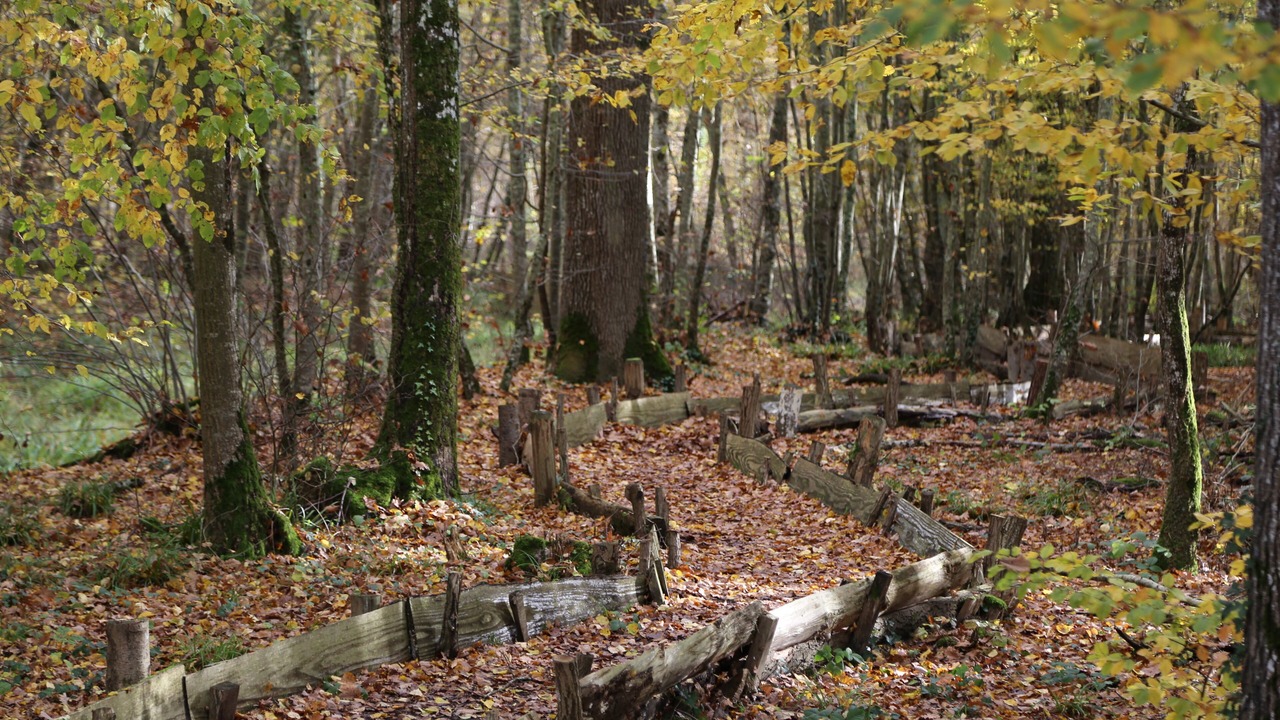 Photo of Outdoor in Vendeuvre-sur-Barse