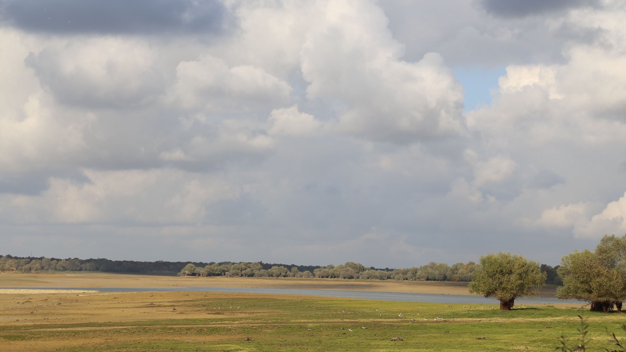 Photo of Others in Vendeuvre-sur-Barse