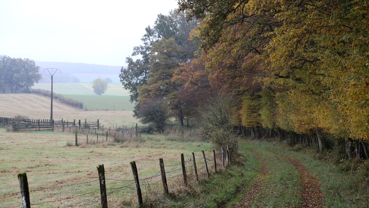 Photo of Outdoor in Vendeuvre-sur-Barse