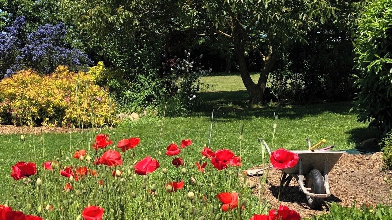 Photo of Outdoor in Bourseul