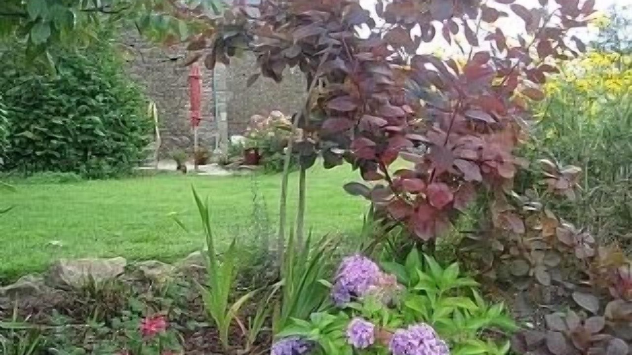 Photo of Outdoor in Bourseul