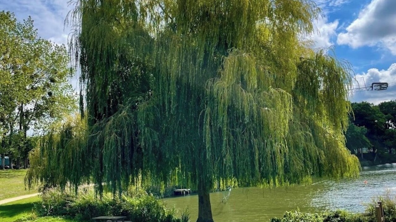 Photo of Others in Bourseul