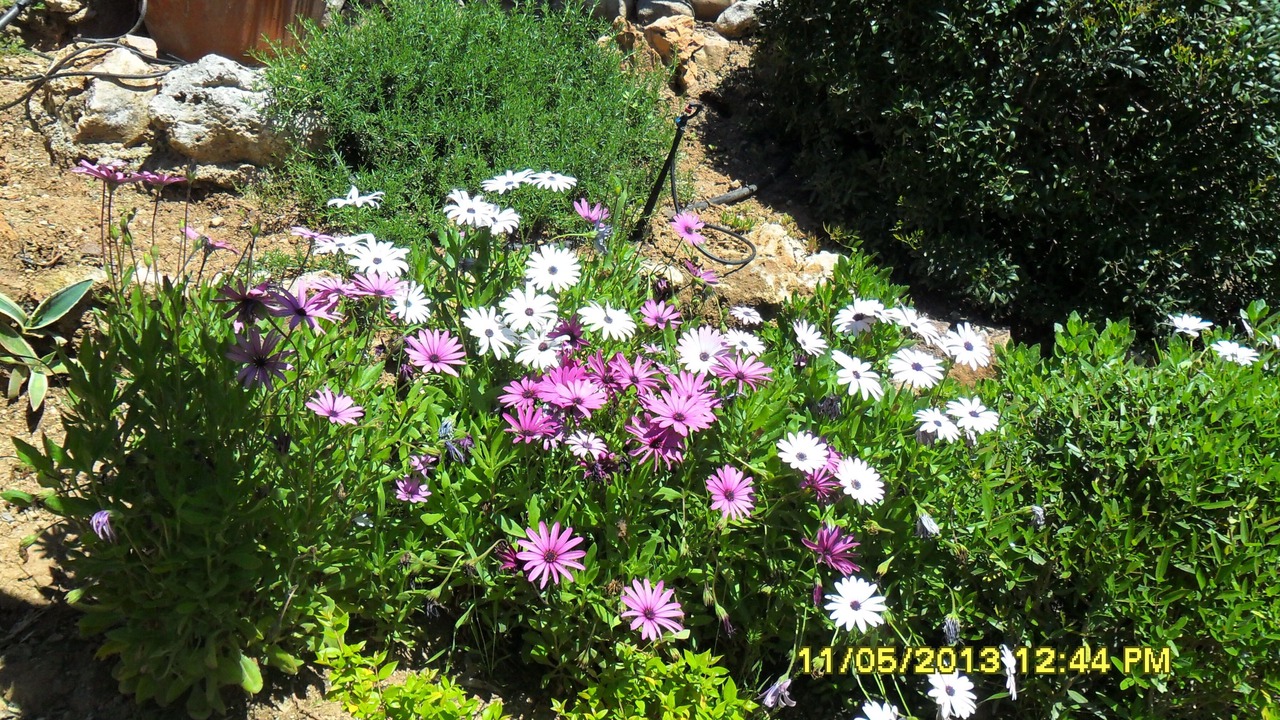 Photo of Outdoor in La Bouverie