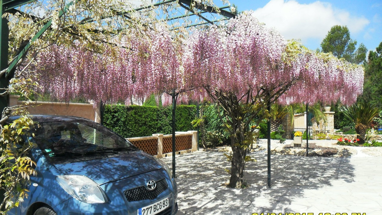 Photo of Outdoor in La Bouverie