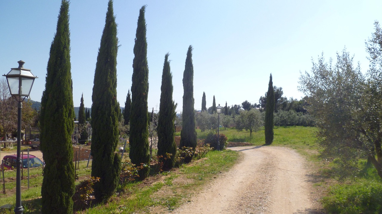 Photo of Outdoor in La Cadiere-d'Azur