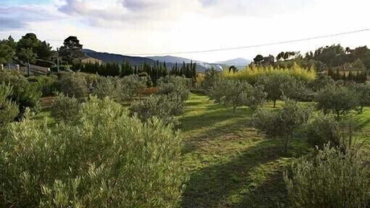 Photo of Outdoor in La Cadiere-d'Azur