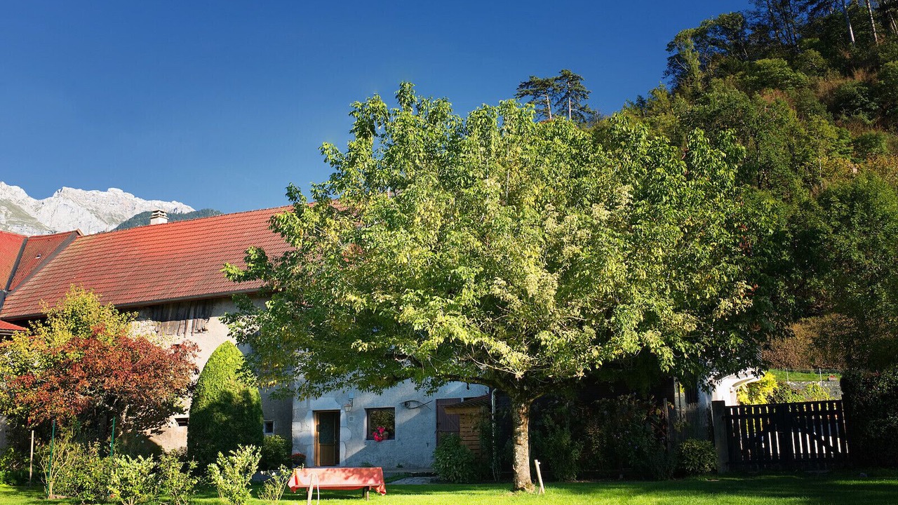 Photo of Outdoor in Duingt