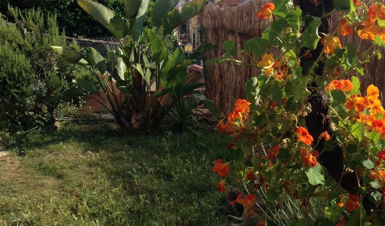 Photo of Outdoor in Saint-Roch
