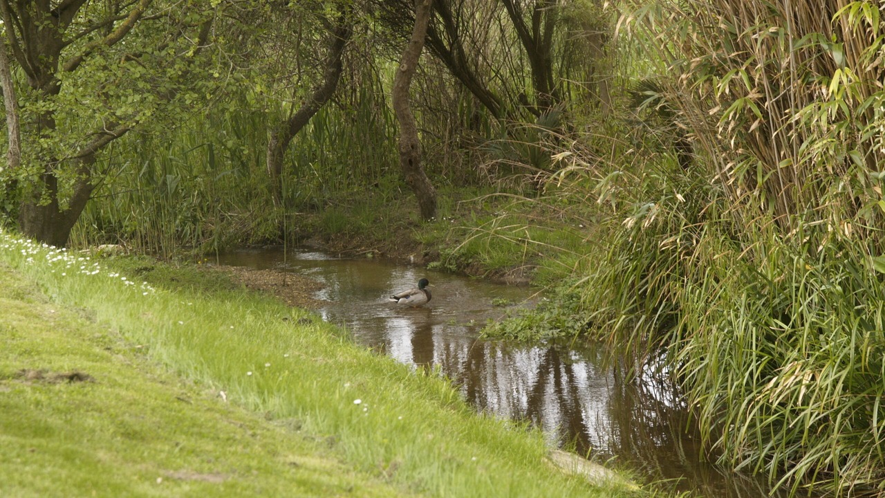 Photo of Others in Trebeurden