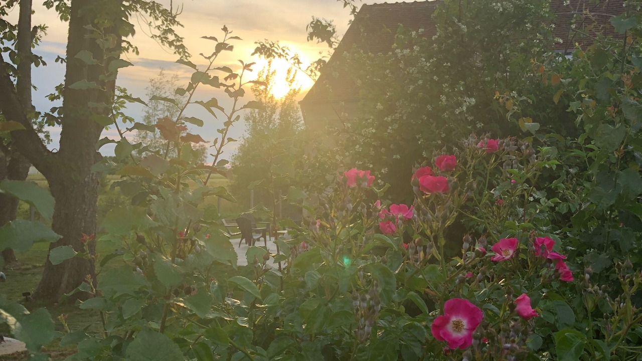 Photo of Outdoor in Billy