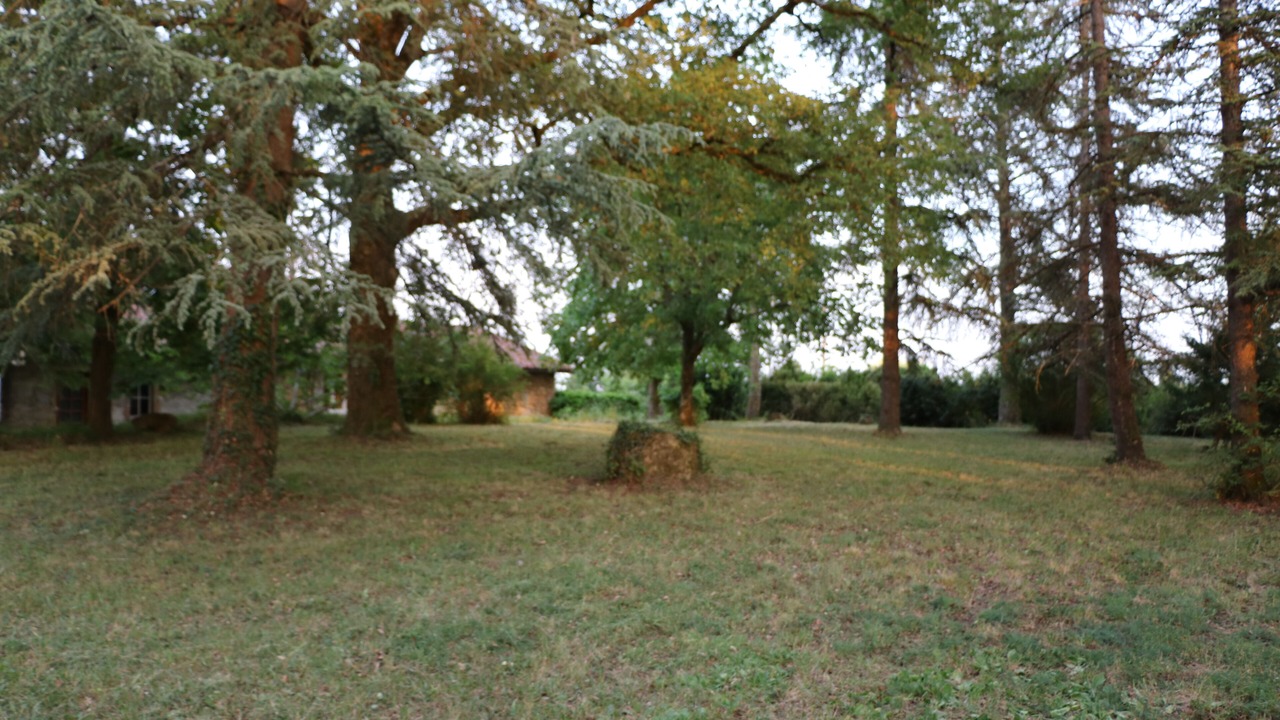 Photo of Outdoor in Courties