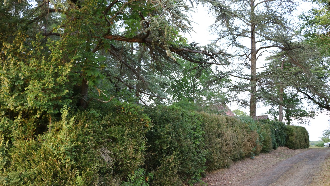 Photo of Outdoor in Courties
