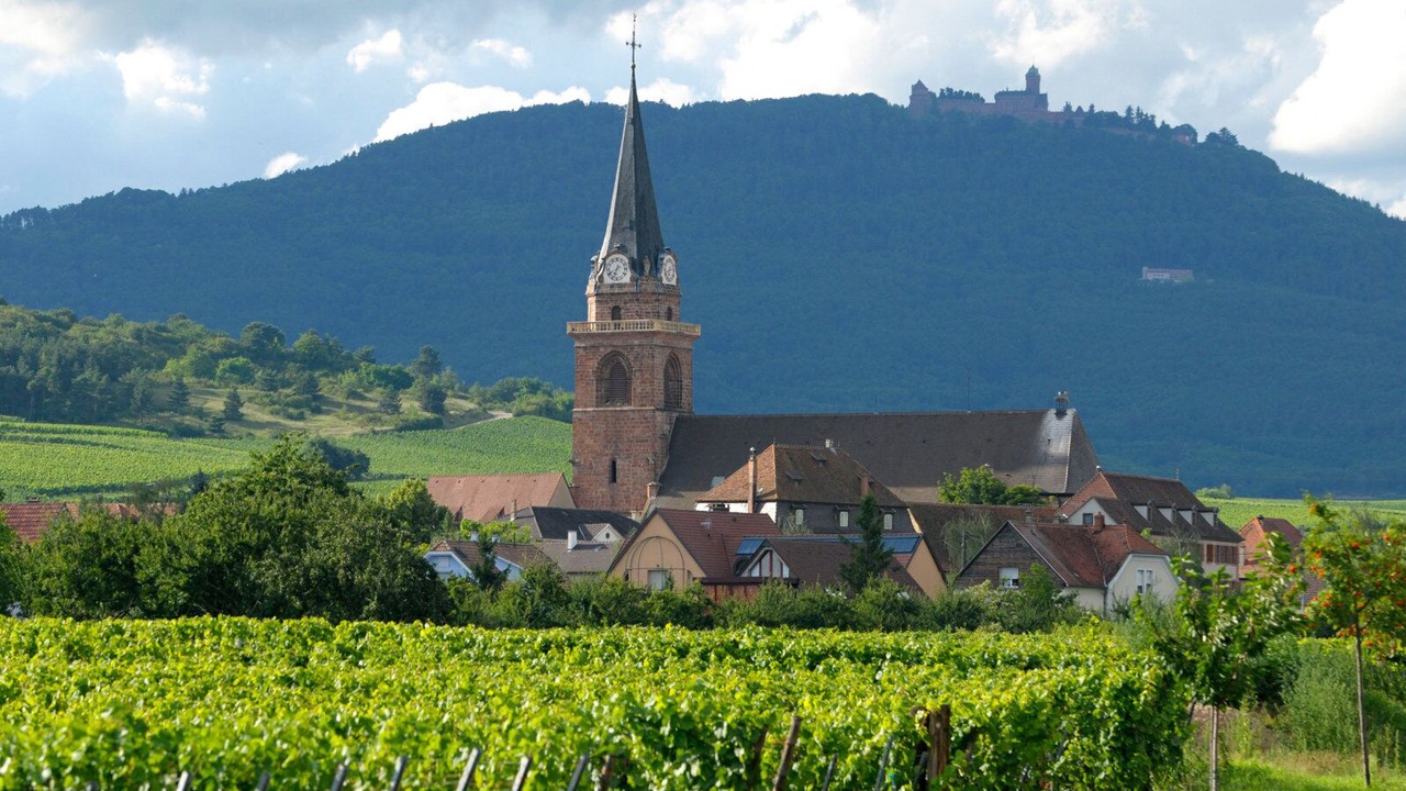 Photo of Outdoor in Bergheim