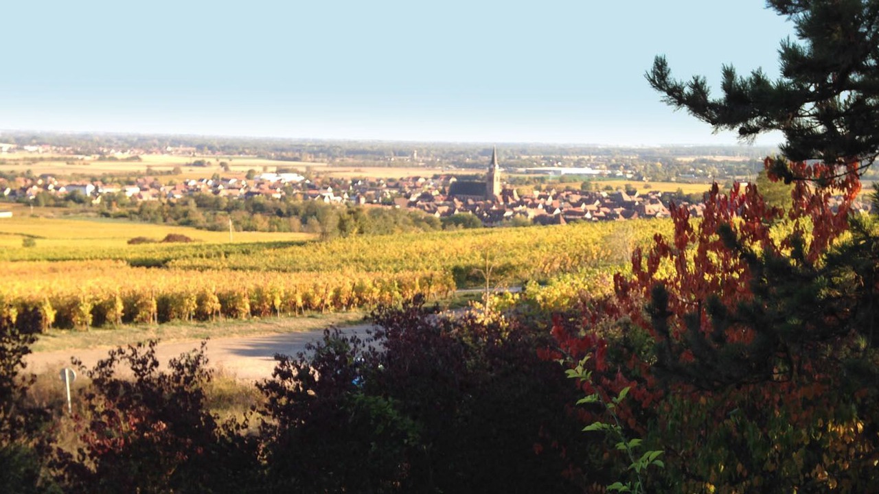 Photo of Outdoor in Bergheim