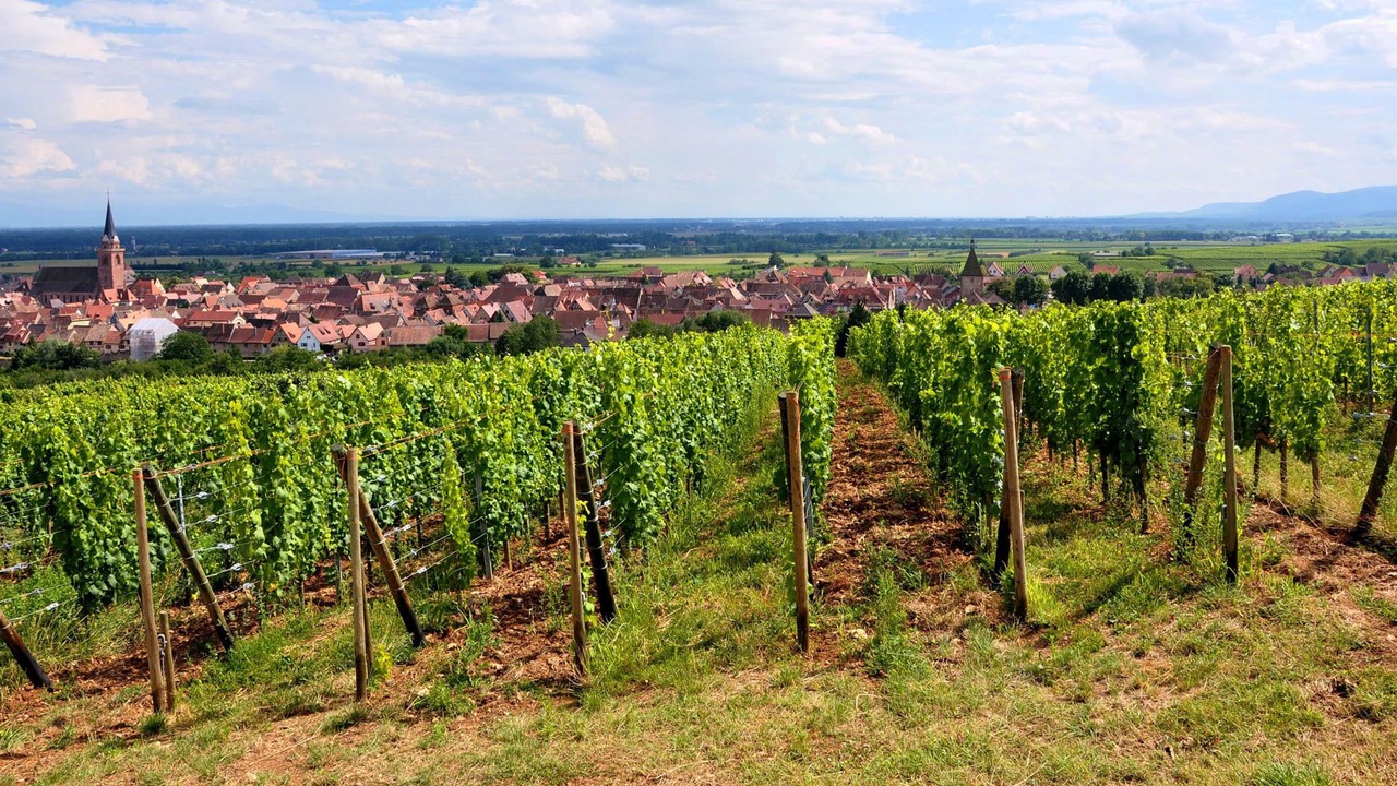 Photo of Outdoor in Bergheim