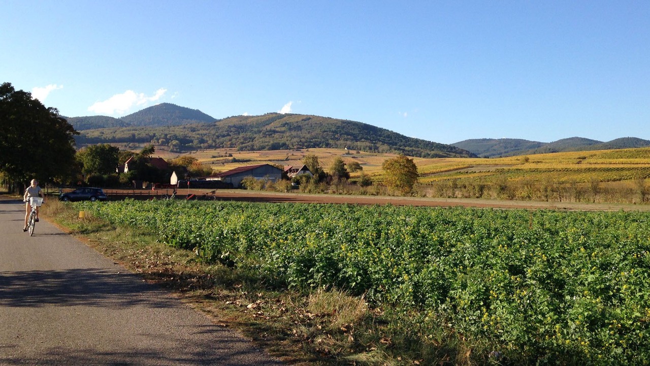 Photo of Outdoor in Bergheim