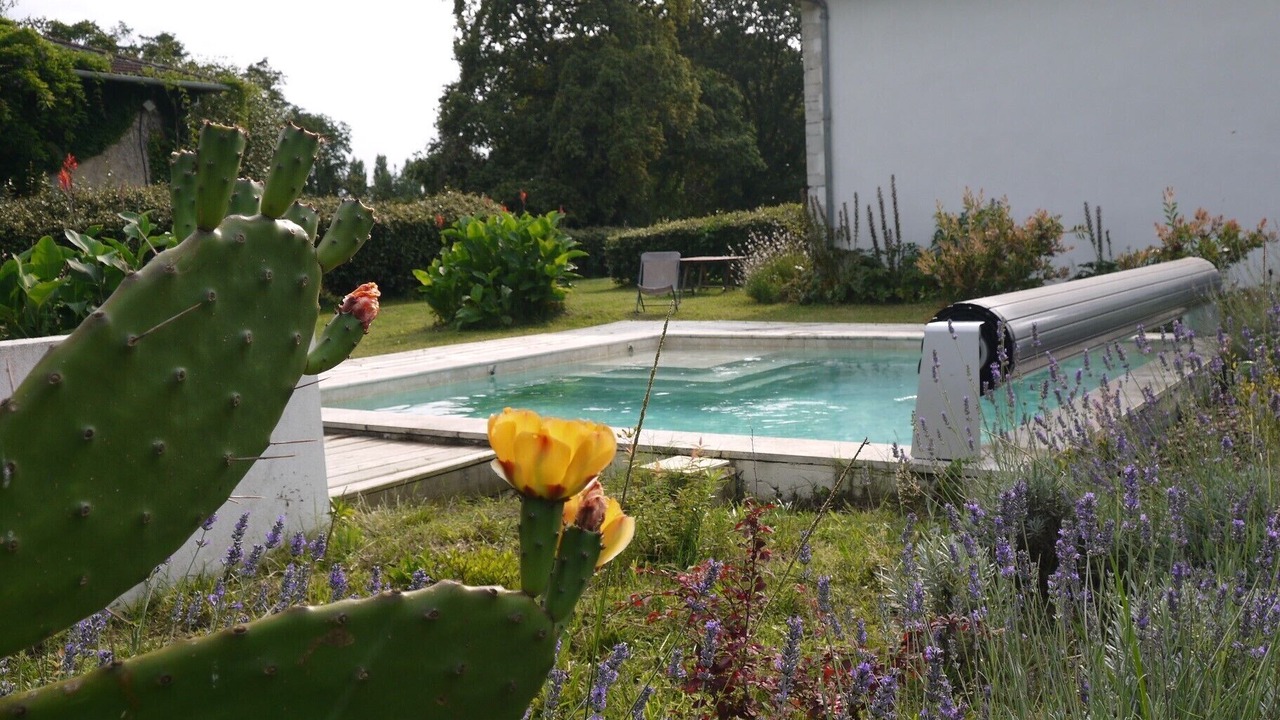 Photo of Outdoor in Saubion