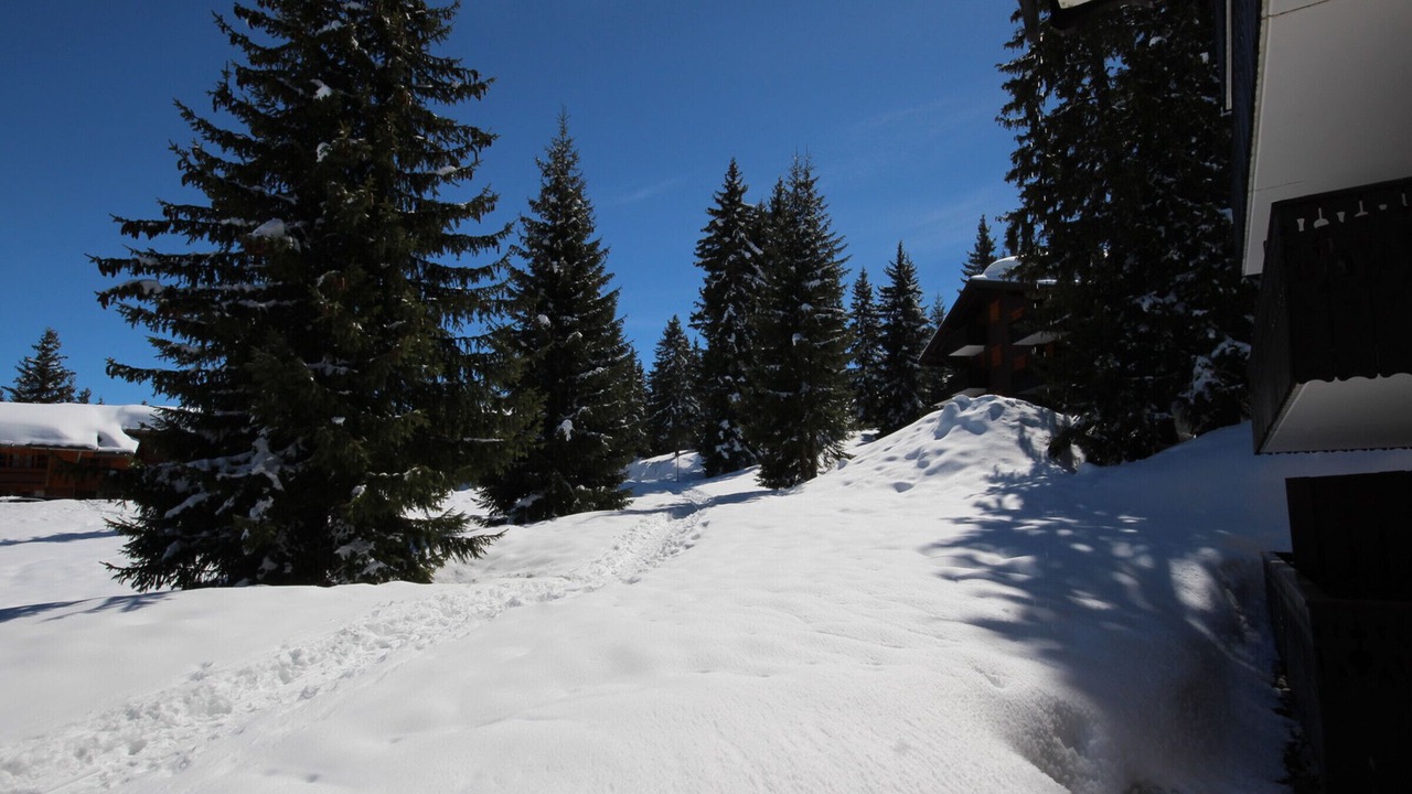 Photo of Outdoor in Les Saisies