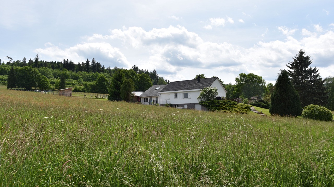 Photo of Outdoor in Remomeix
