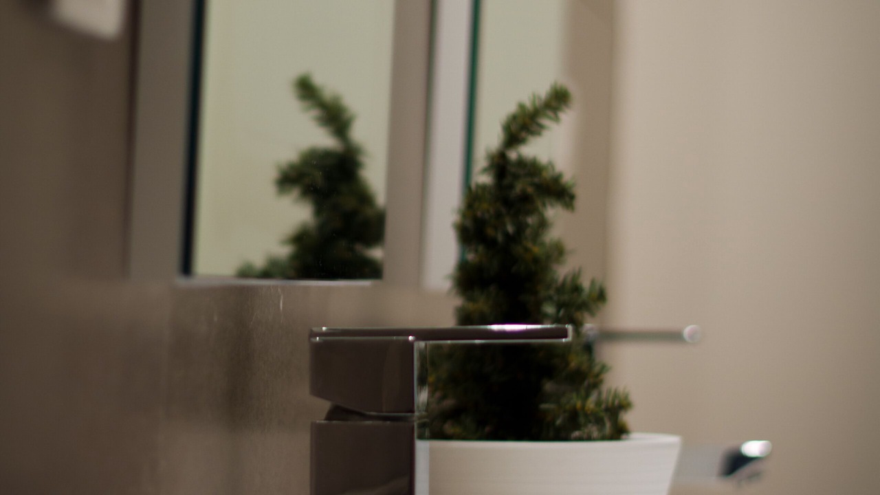 Photo of Bathroom in Nancy City Centre