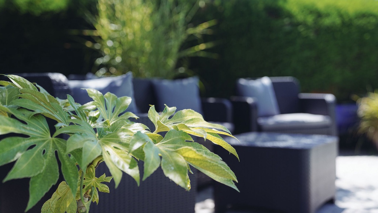 Photo of Patio Balcony in Vidou