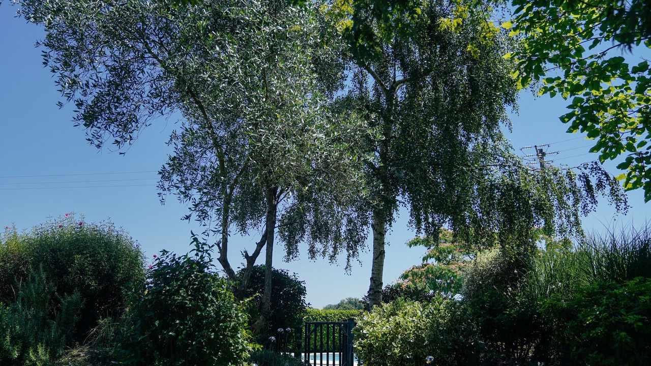 Photo of Outdoor in Vidou