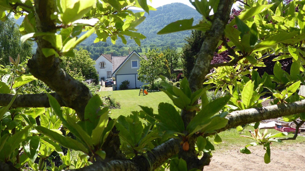 Photo of Outdoor in Saint-Maurice