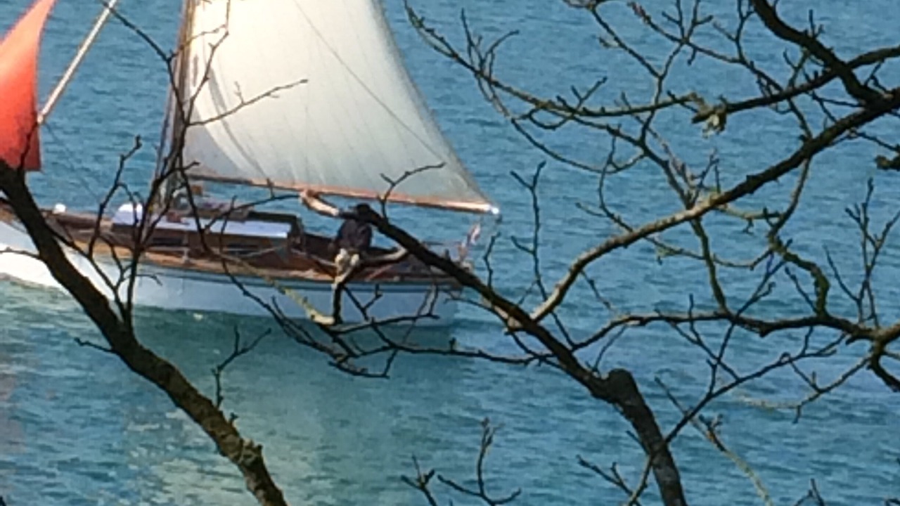 Photo of Others in Pleudihen-sur-Rance
