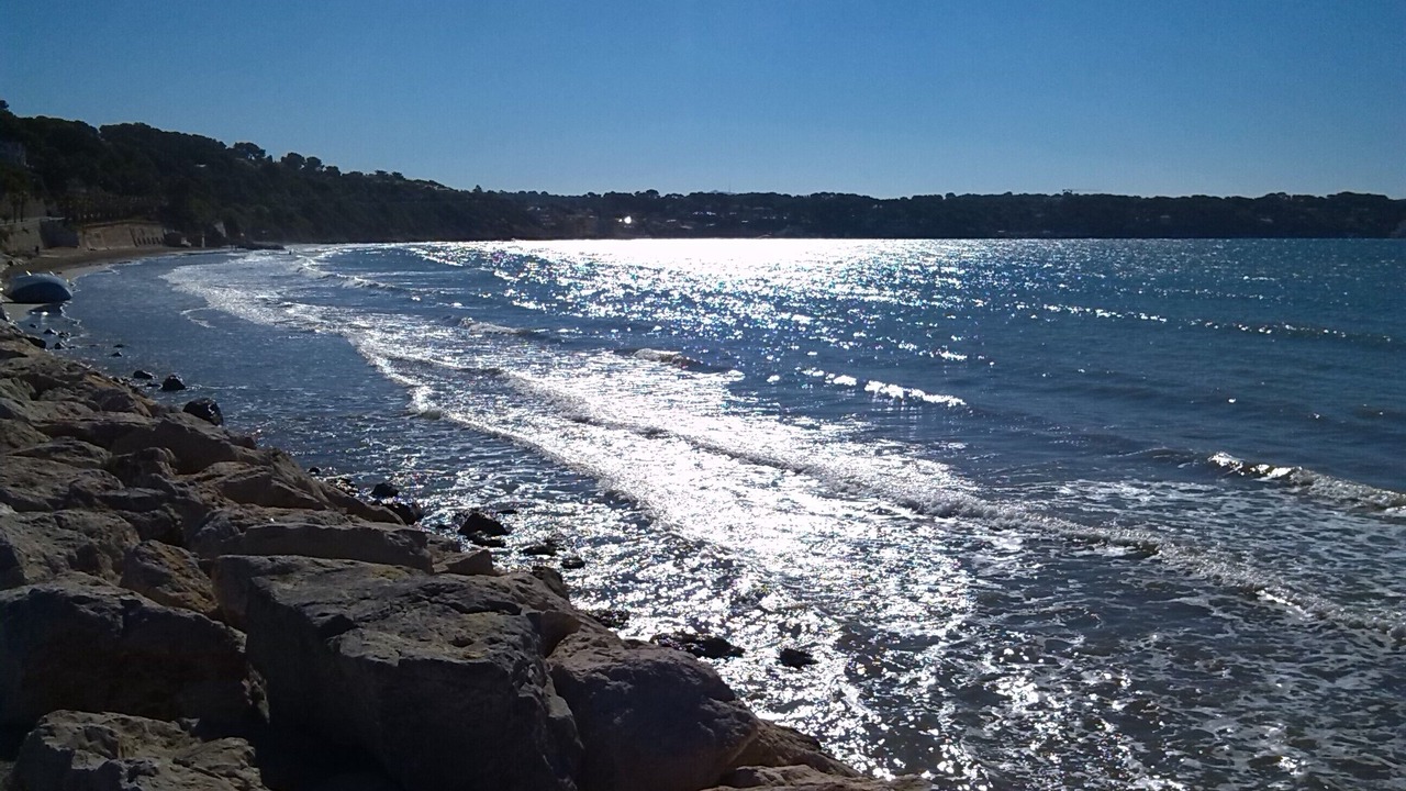 Photo of Others in Bandol