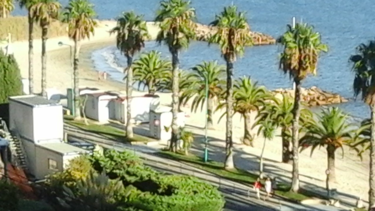 Photo of Others in Bandol