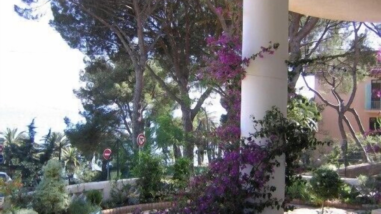 Photo of Outdoor in Bandol