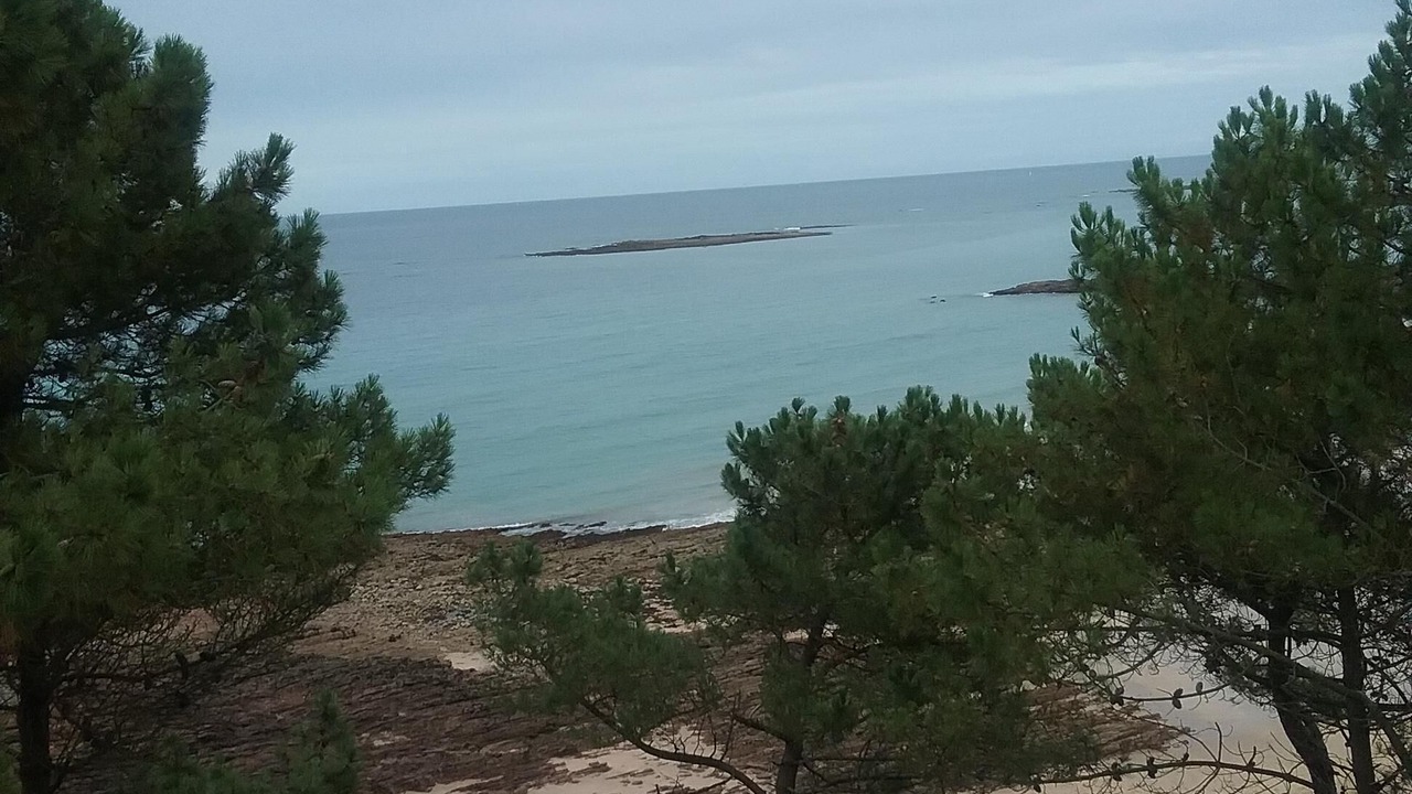 Photo of Others in Sables-d'Or-les-Pins