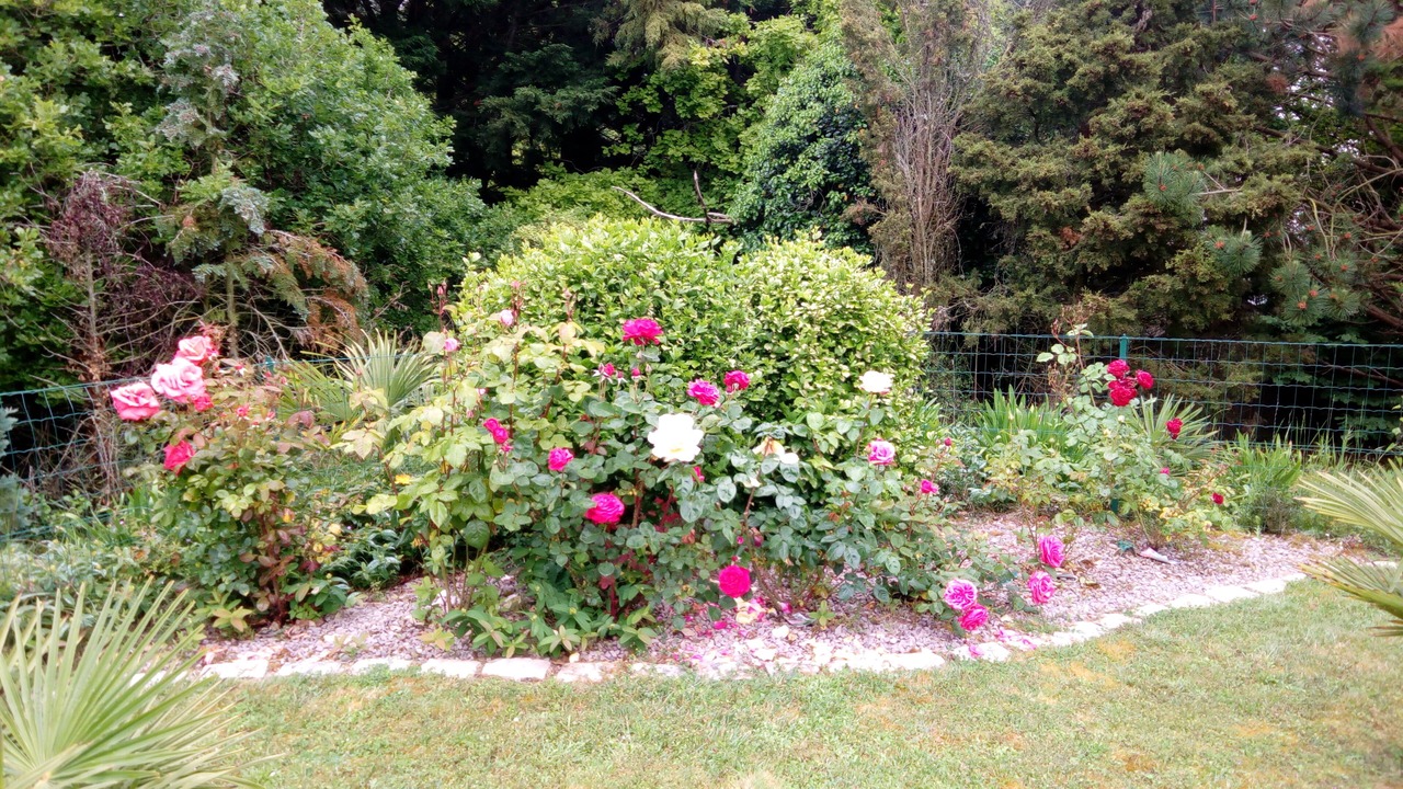 Photo of Outdoor in Sables-d'Or-les-Pins