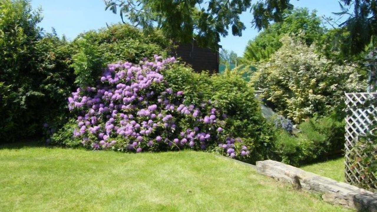 Photo of Outdoor in Henansal