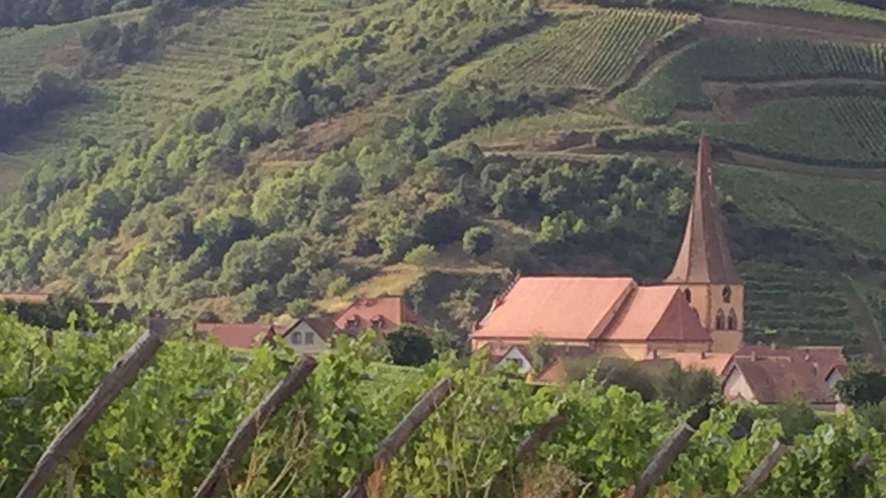 Photo of Outdoor in Niedermorschwihr