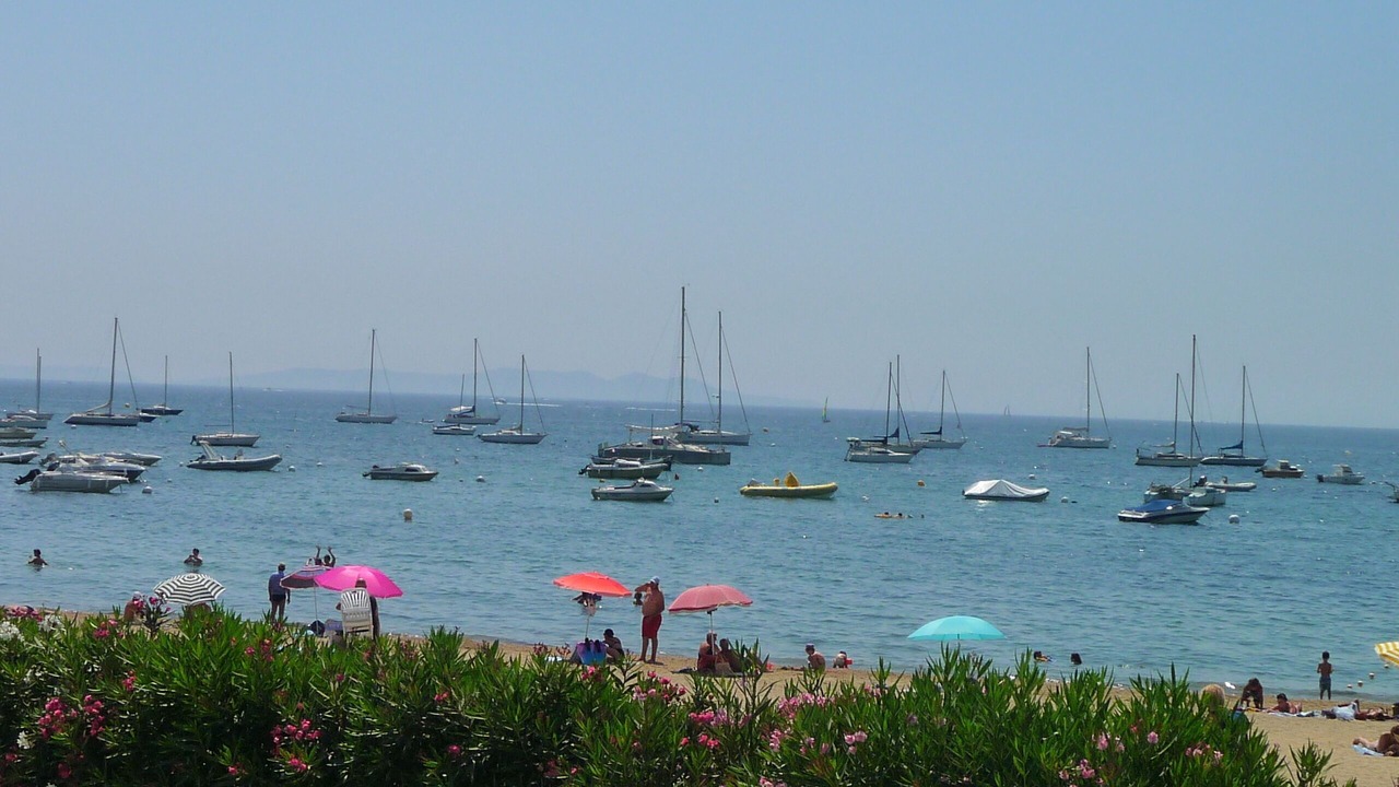Photo of Others in La Londe-les-Maures
