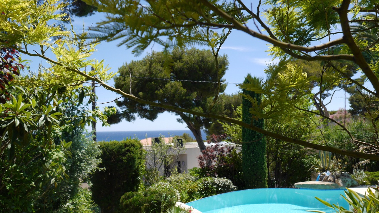 Photo of Outdoor in Cassis