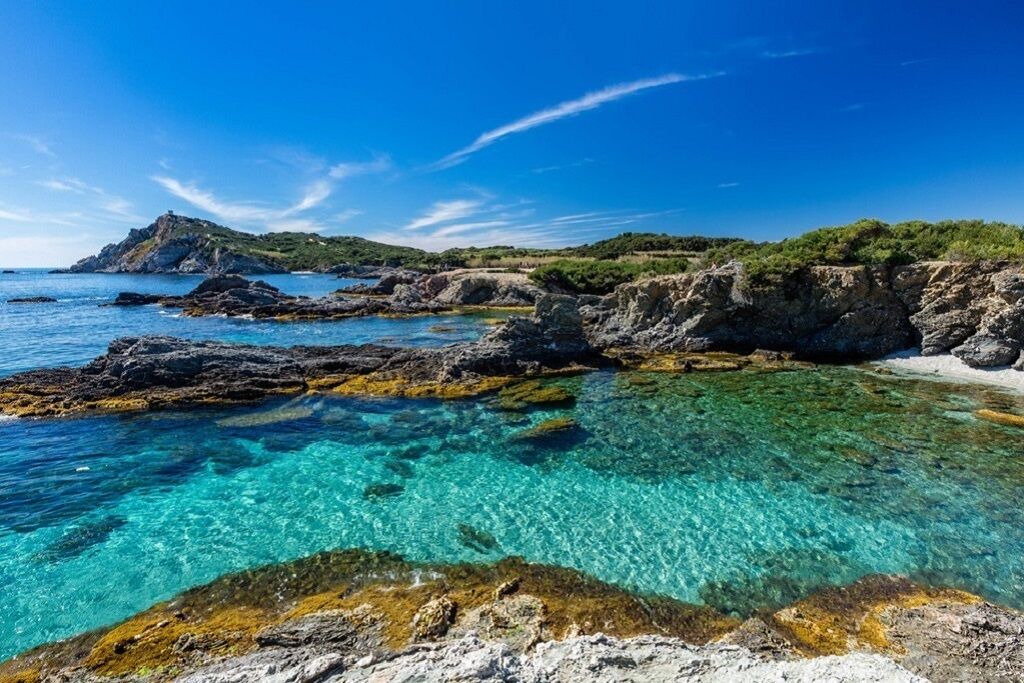 Photo of Others in Bandol