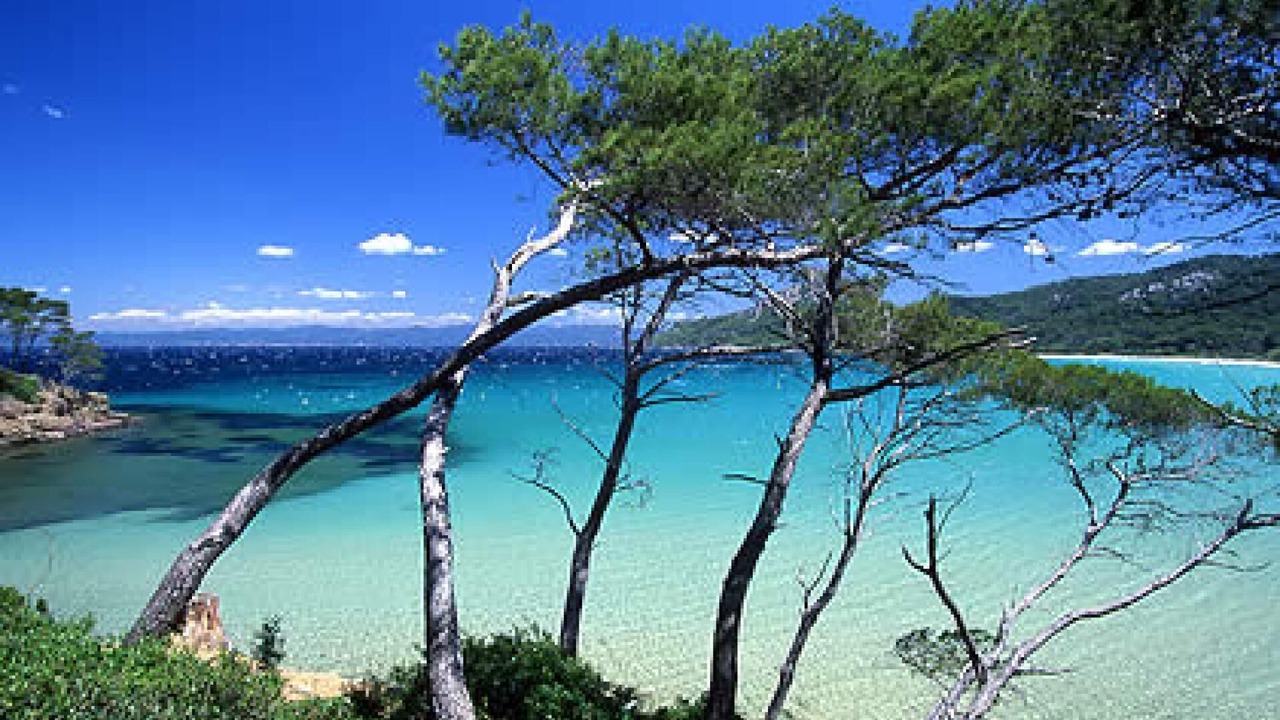 Photo of Others in Bandol