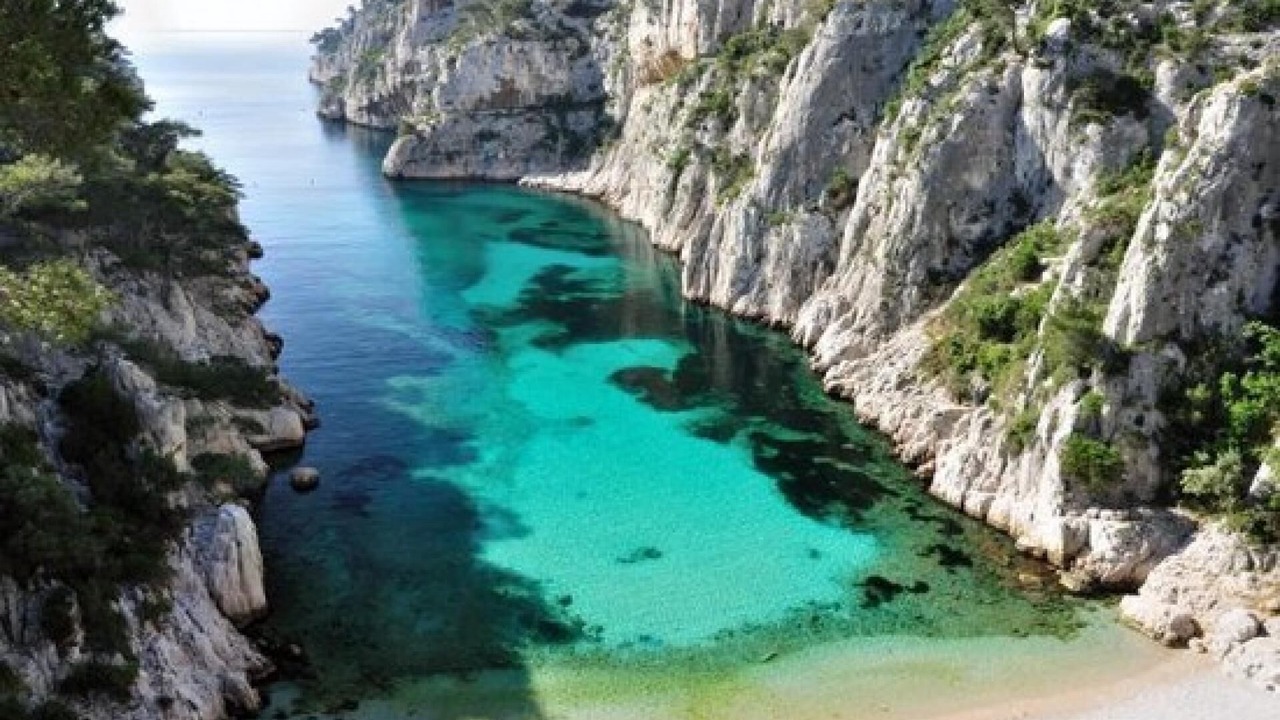 Photo of Others in Bandol