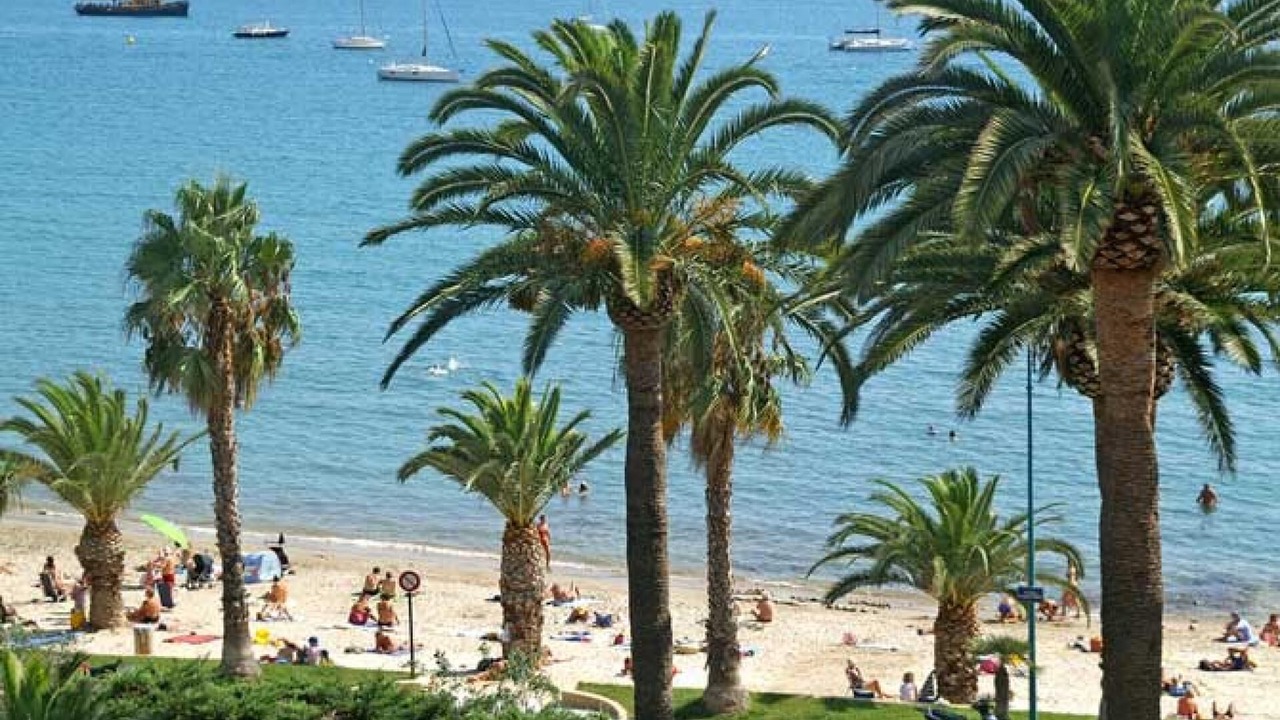 Photo of Others in Bandol