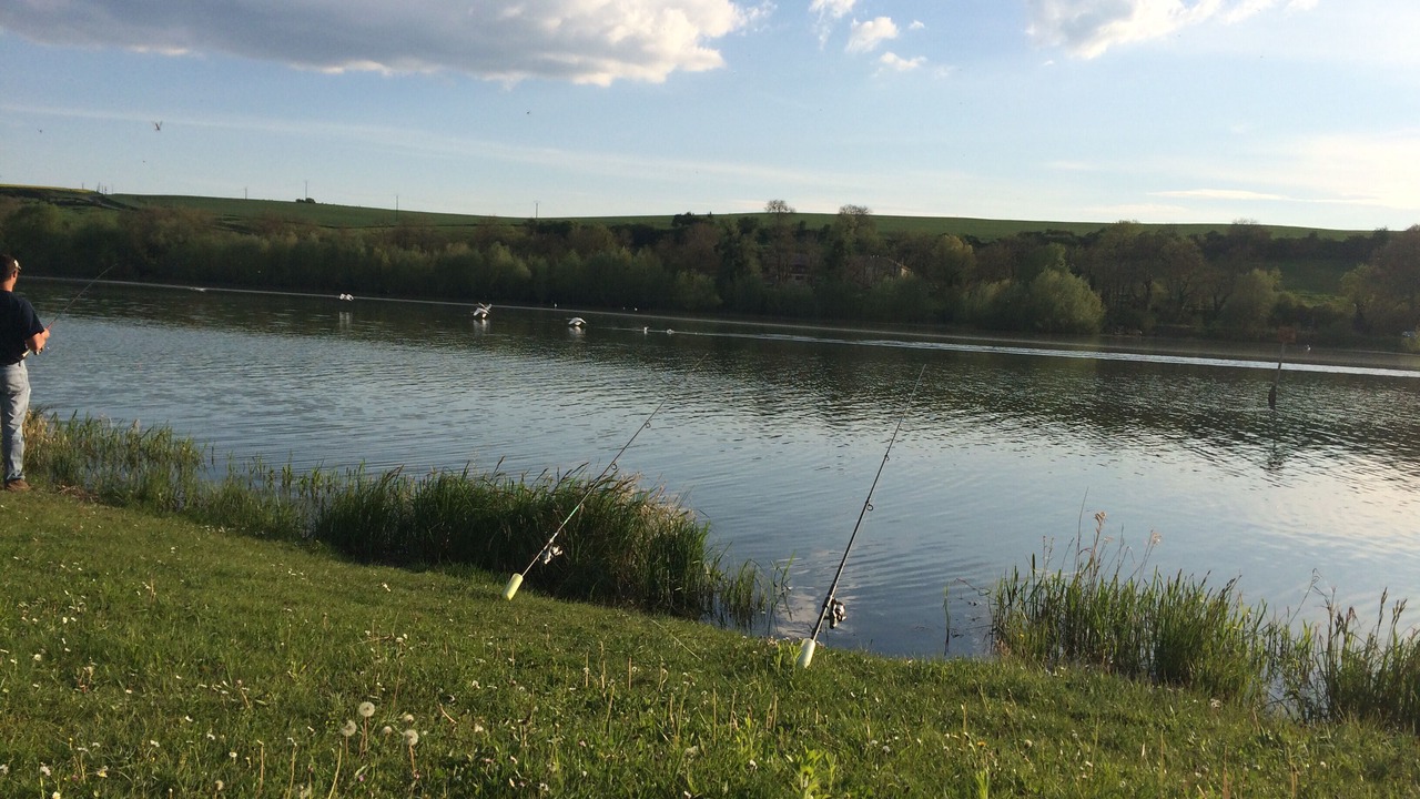 Photo of Outdoor in Sauville