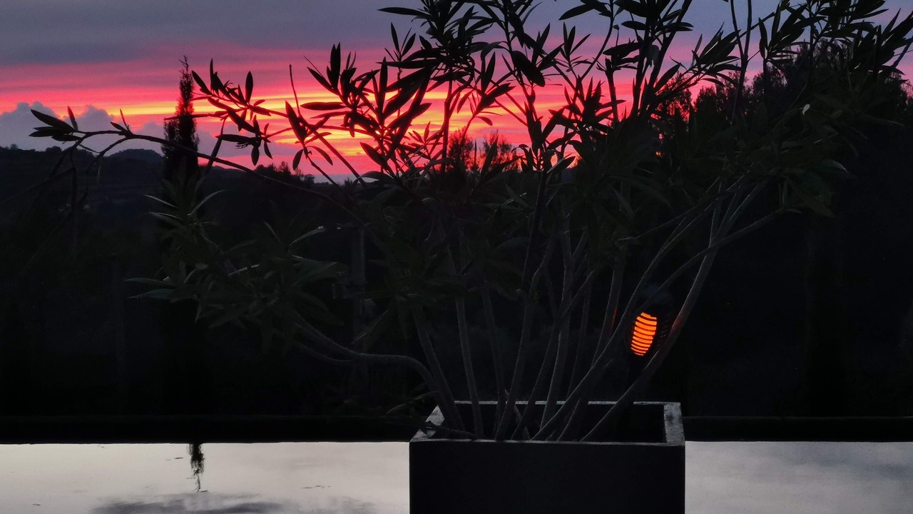 Photo of Outdoor in Le Castellet