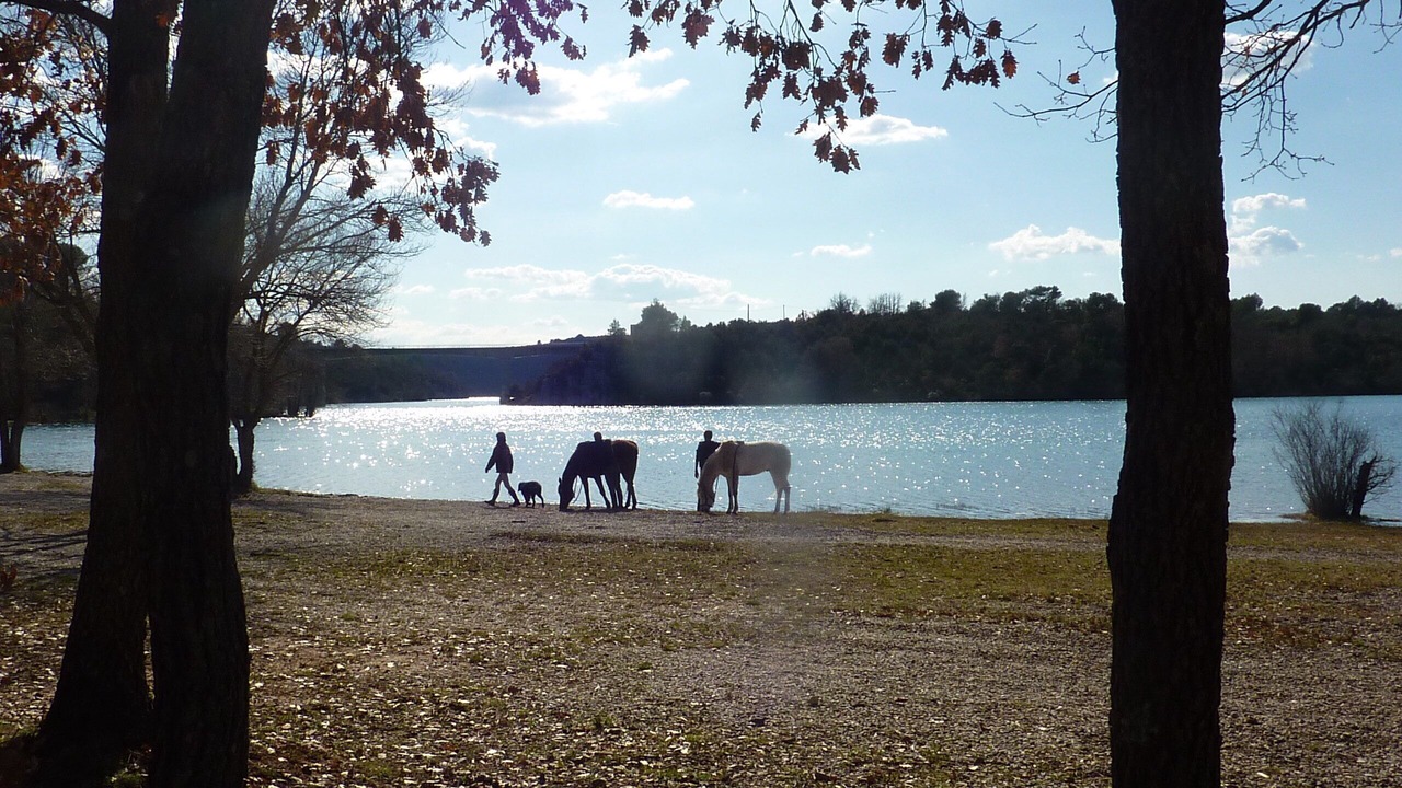 Photo of Outdoor in Aups