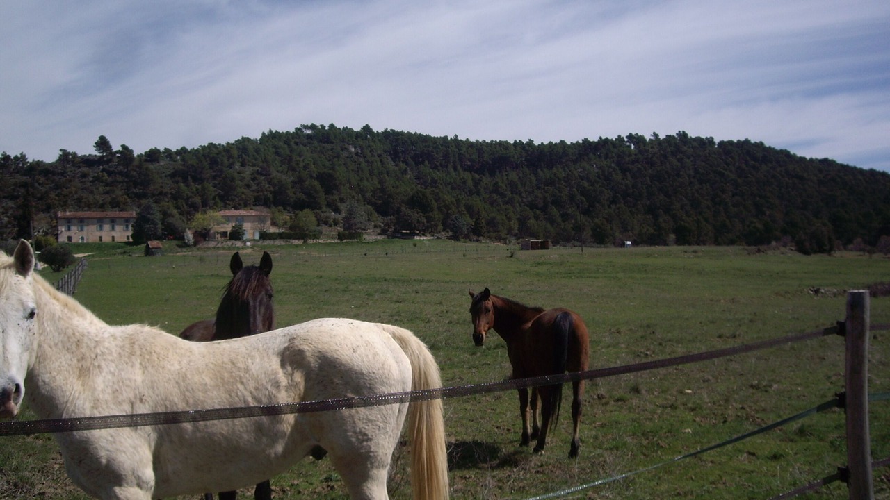 Photo of Others in Aups
