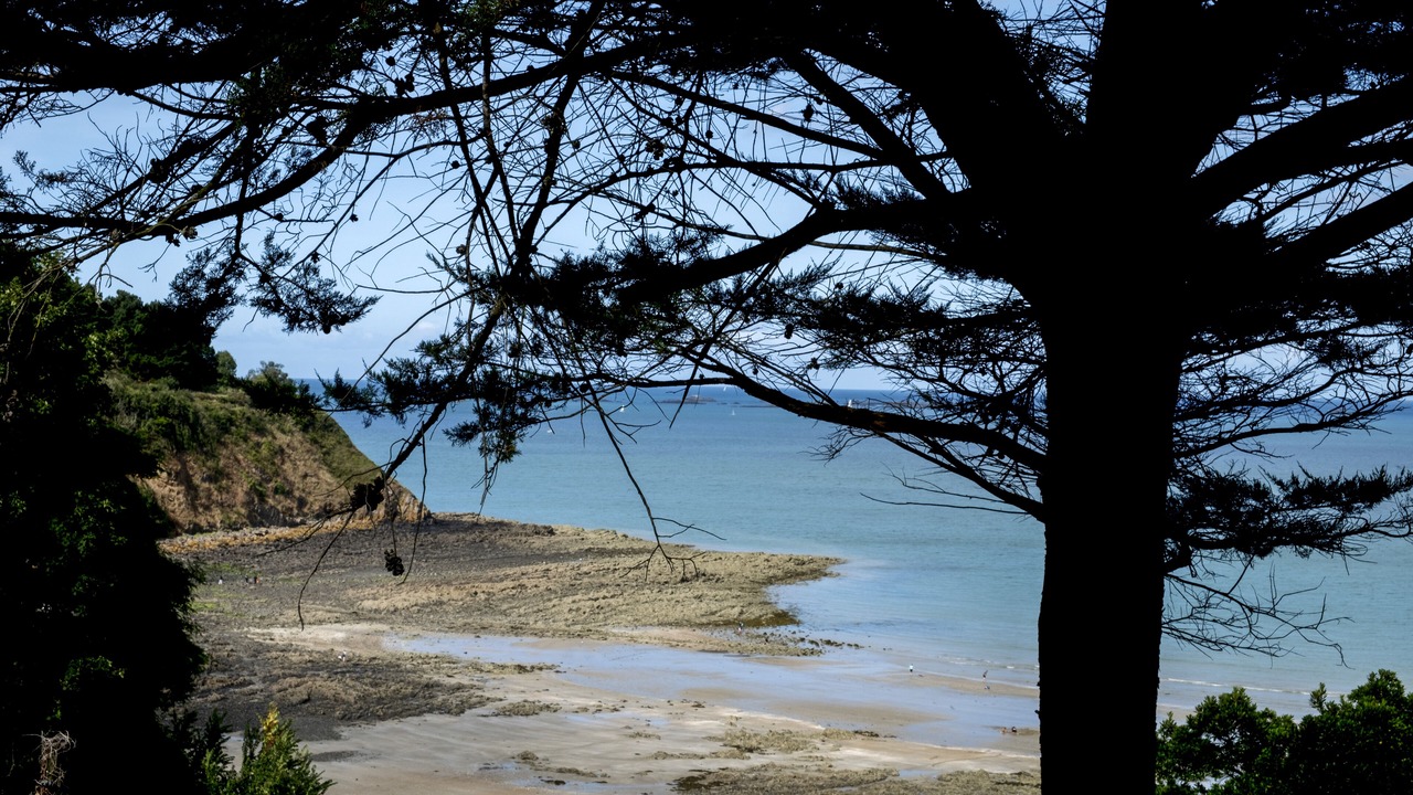 Photo of Others in Etables-sur-Mer