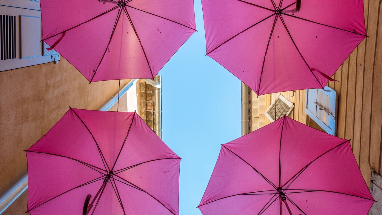 Photo of Outdoor in Grasse