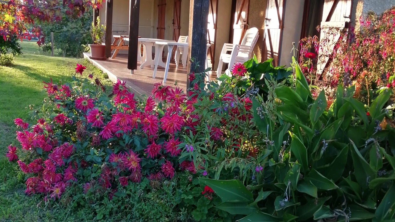 Photo of Patio Balcony in Landorthe