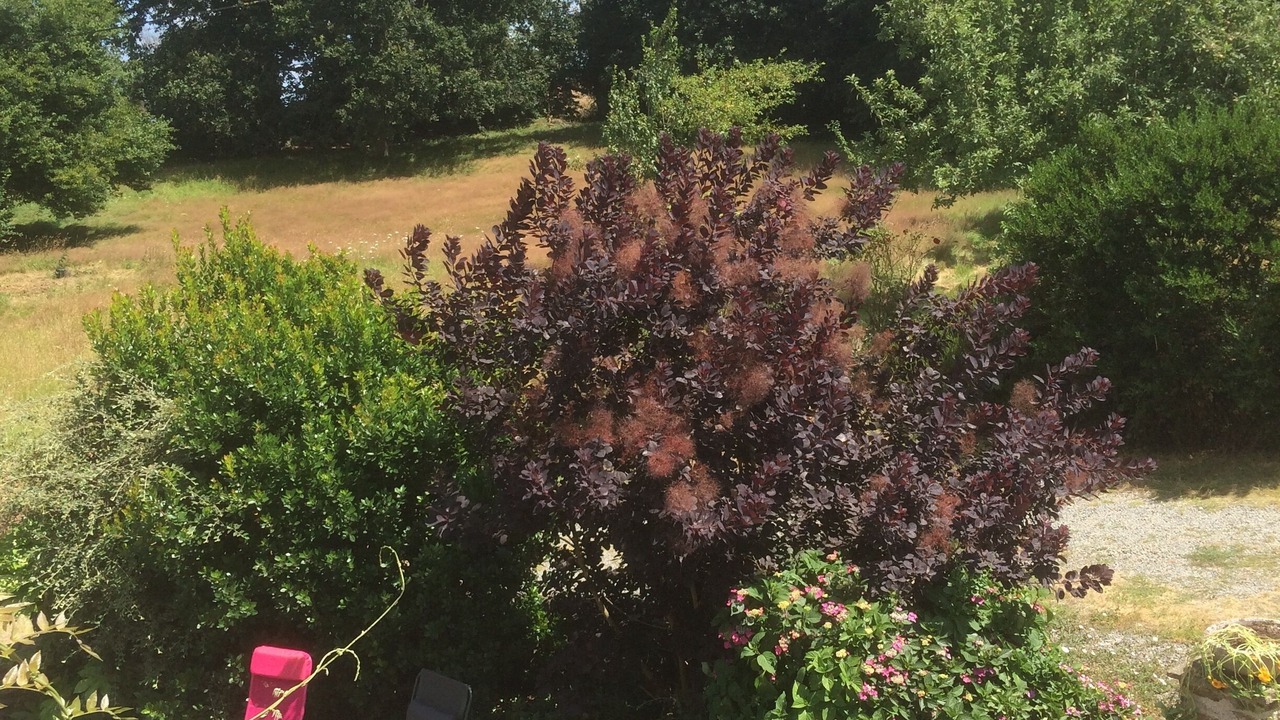 Photo of Outdoor in Plenee-Jugon