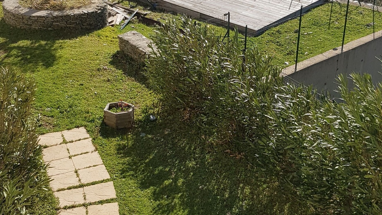 Photo of Outdoor in Figarella